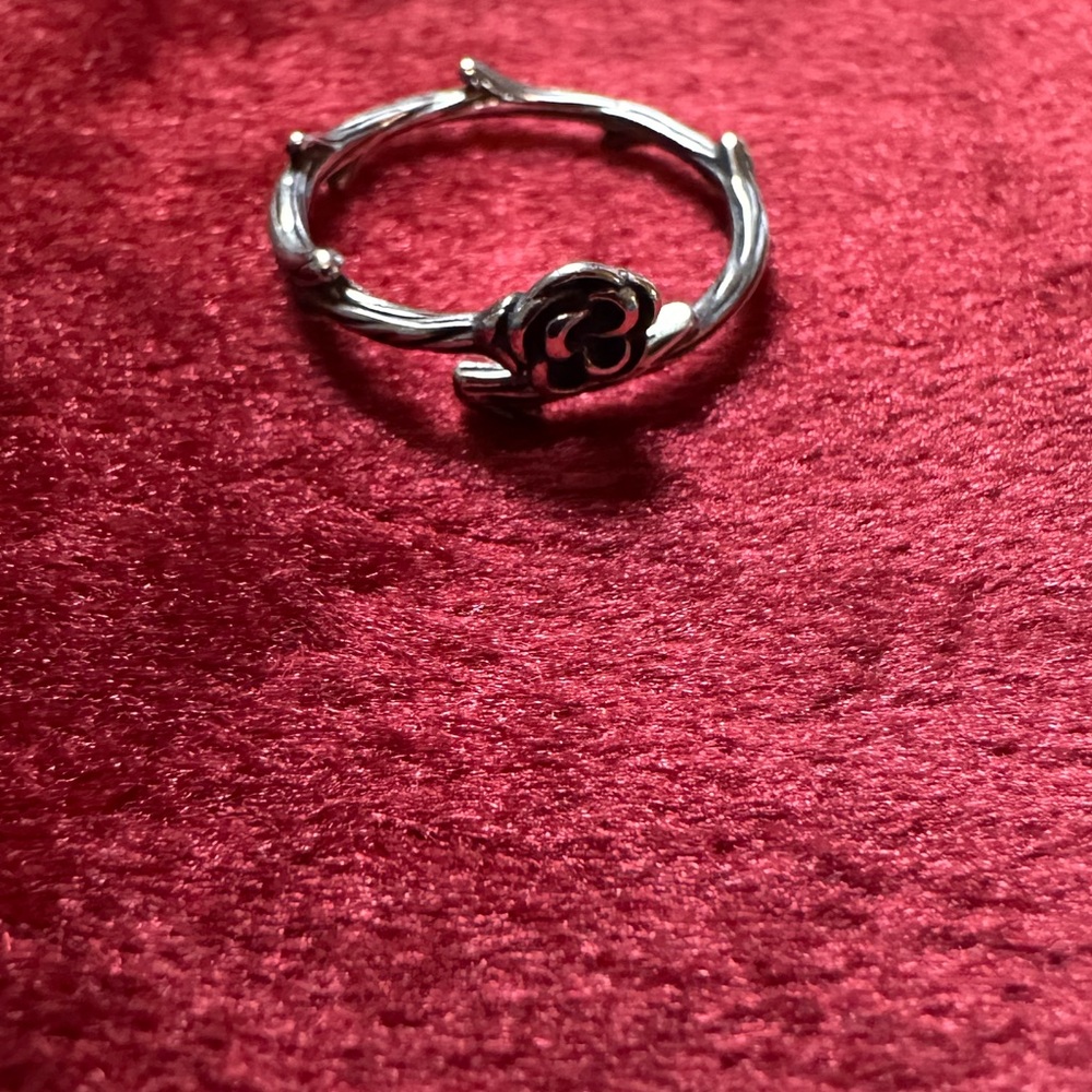 Wrapped in a rose ring- adjustable- NWT